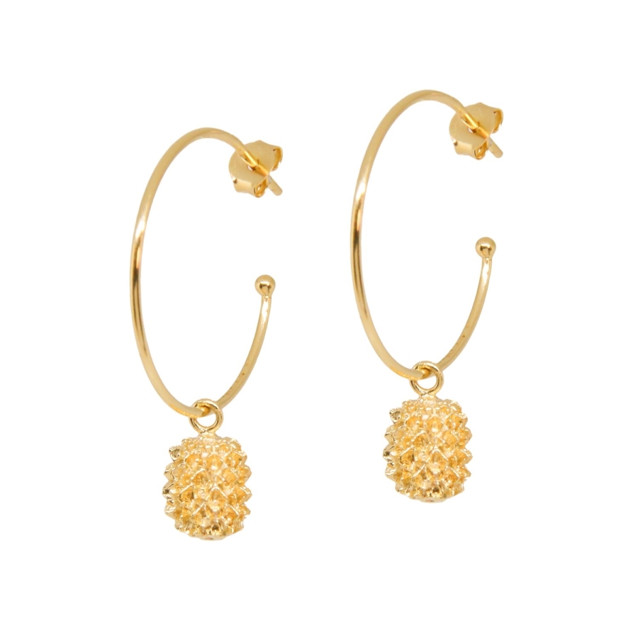 BOUCLES ANNEAUX GRAINE FILAO DORE OR FIN 24K