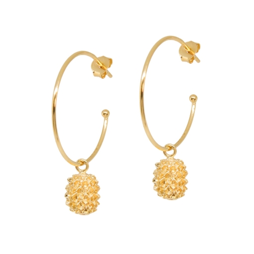 BOUCLES ANNEAUX GRAINE FILAO DORE OR FIN 24K