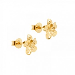 boucles puces dorées or fin 24 carats fleurs frangipane ile maurice