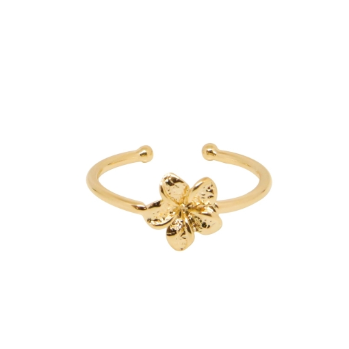 BAGUE FRANGIPANE PLAQUE OR 24K