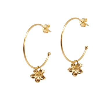 BOUCLES ANNEAUX FRANGIPANE DORE OR FIN 24K