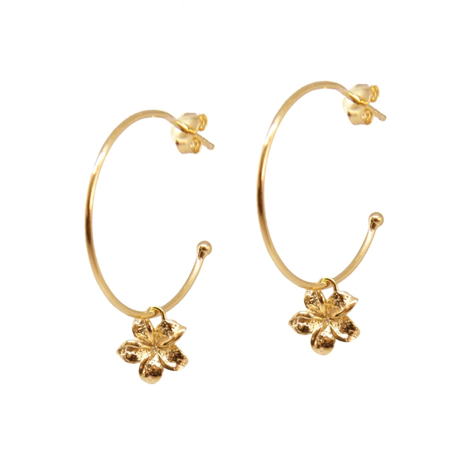 BOUCLES ANNEAUX FRANGIPANE DORE OR FIN 24K