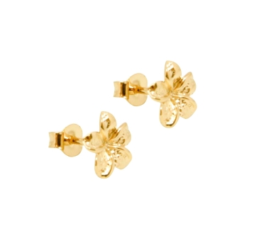 PUCES FRANGIPANE DORE OR FIN 24K