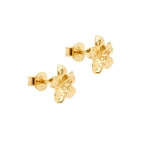 PUCES FRANGIPANE DORE OR FIN 24K