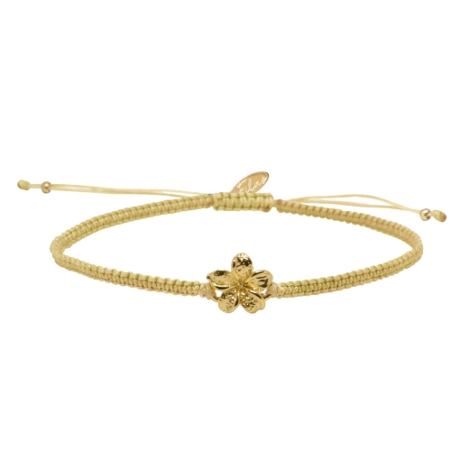 GRIGRI FRANGIPANE CHAMPAGNE DORE OR FIN 24K