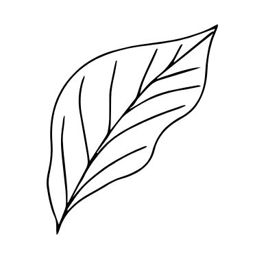 Inspirés de la nature